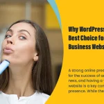 Why WordPress is the Best Choice for Your Business Website